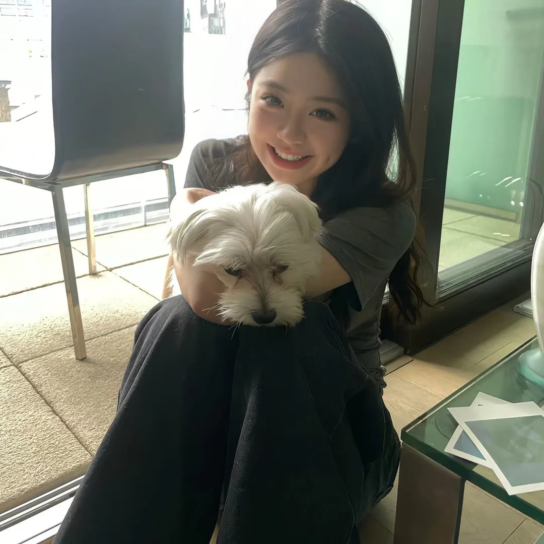 七合圣石战记：银月之翼
